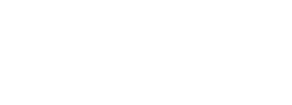 blipp builder 2.0 logo white
