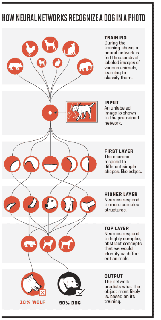 What is Computer Vision – Post 6: Artificial Intelligence Unnamed File.c